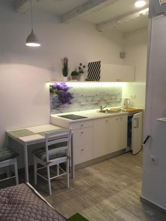 Studio Apartment Sisi オパティヤ エクステリア 写真